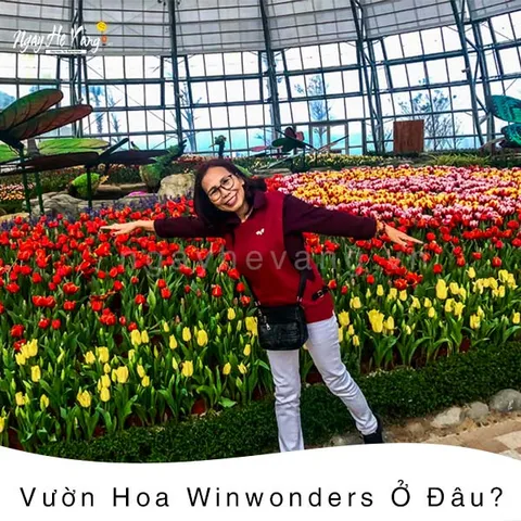 Vườn Hoa Vinpearl Land Nha Trang - Vinwonders