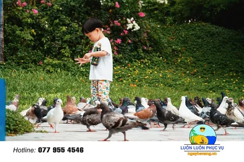 Vườn Thú Vinpearl Land Nha Trang