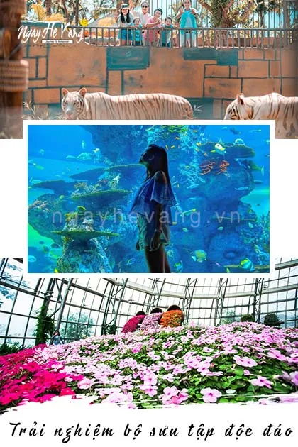 Địa điểm tham quan Vinwonders nha trang