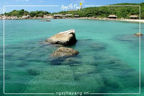 Đảo cá voi