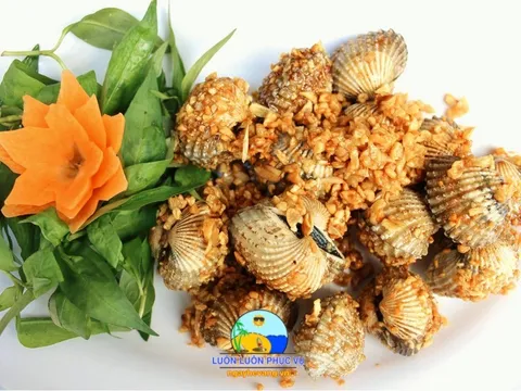 Sò Huyết Ngon Nha Trang