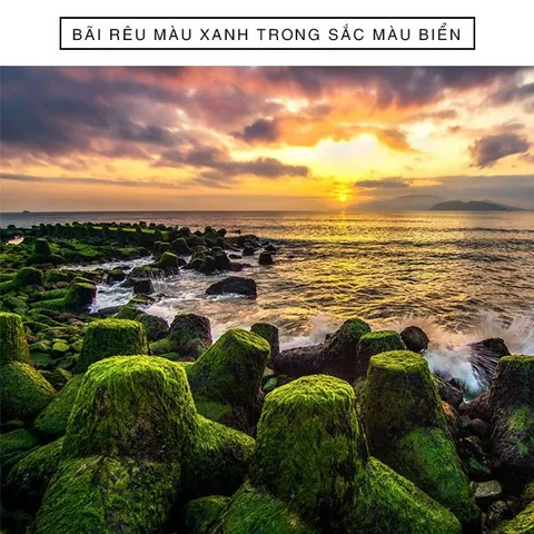 Bãi Rêu Ở Nha Trang