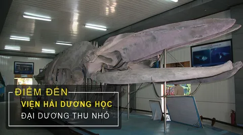 Viện Hải Dương Học Nha Trang