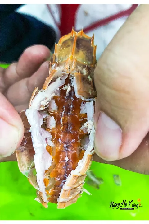 Quán Ốc Hẻm Ốc Sò 87 Hồng Bàng Nha Trang