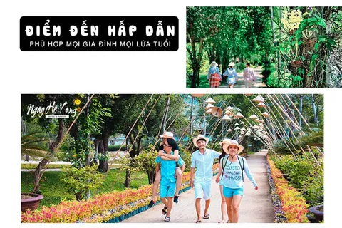 Tour Đảo Khỉ - Suối Hoa Lan