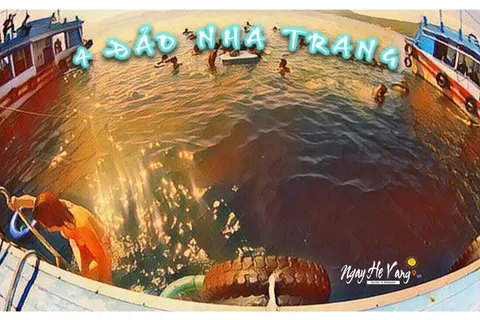Trải nghiệm tour 4 đảo ở Nha Trang