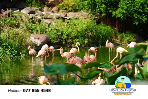 Vinpearl Land Nha Trang