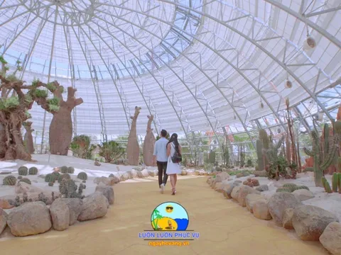 Giá Vé Vinpearl Land Nha Trang - ngayhevang.vn