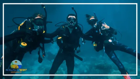 Lặn Biển Ngắm San Hô Nha Trang