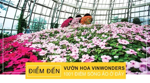 Vườn hoa Vinpearl Land Nha Trang (VinWonders)