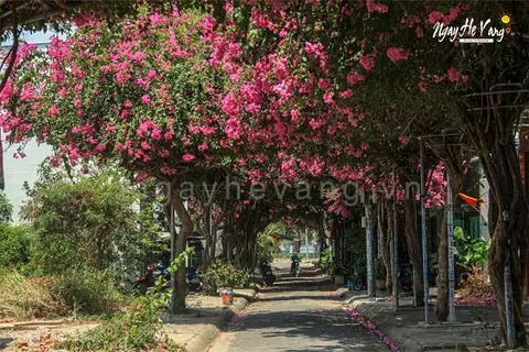 Địa điểm Check In Nha Trang 
