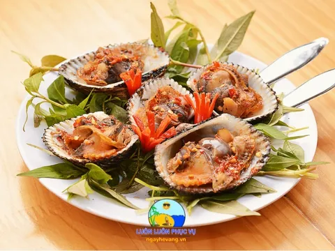 Sò Huyết Ngon Nha Trang