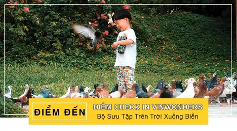 Địa điểm tham quan Vinwonders Nha Trang
