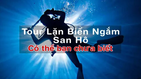 Tour Lặn Biển Ngắm San Hô Nha Trang – Bạn Cần Biết