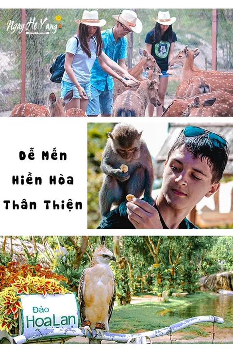 Du Ngoạn Vịnh Nha Phu Nha Trang